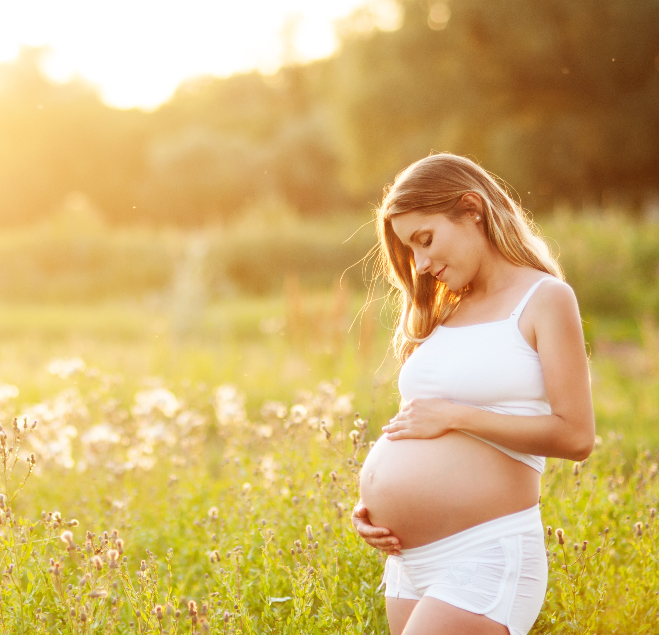 Soporte maternal