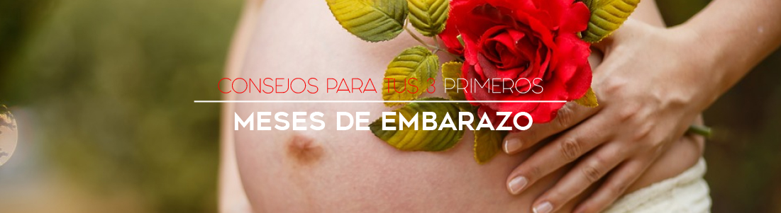 Consejos para tus 3 primeros Meses de Embarazo