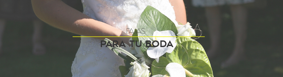 Faja para tu Boda